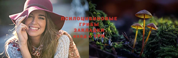 мдпв Киреевск