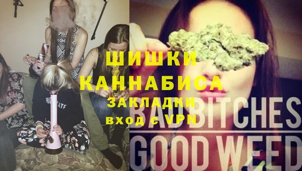 мдпв Киреевск