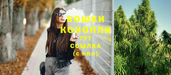 мдпв Киреевск