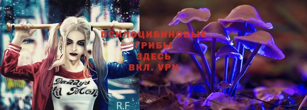 мдпв Киреевск